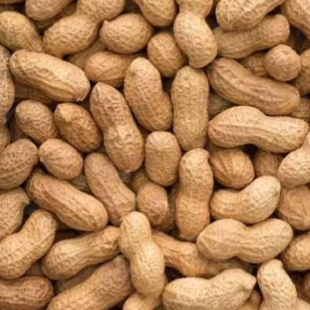 

Kacang Tanah Mentah Segar 1 Kg