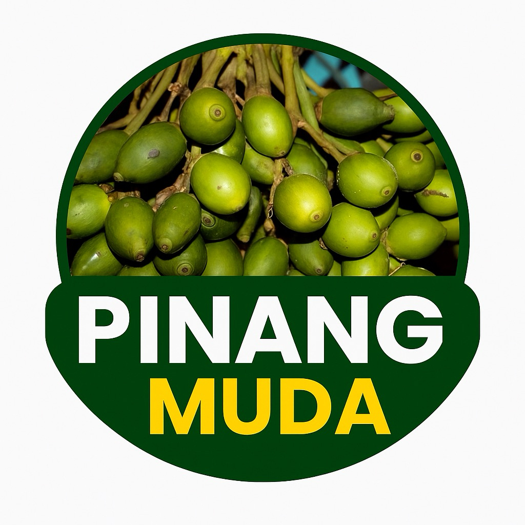 

Buah Pinang Muda Segar-jambe muda fresh 1kg COD