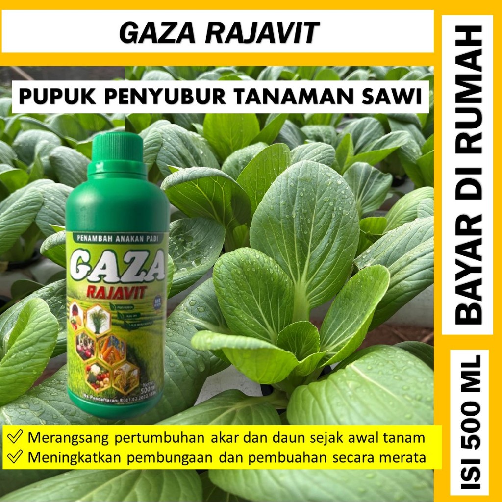 pupuk sawi gaza rajavit 500 ml pupuk sawi terampuh - pupuk untuk tanaman sawi paling bagus - pupuk s