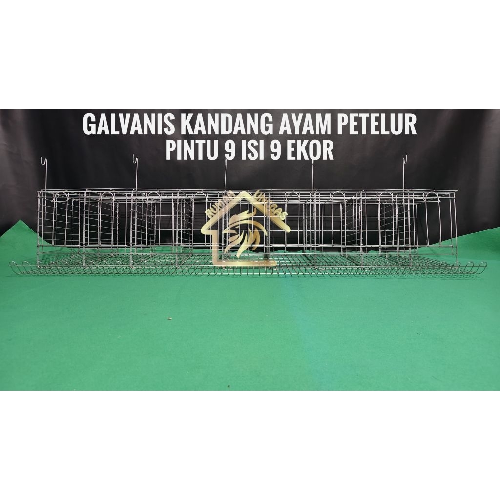 GALVANIS KANDANG LAYER AYAM PETELUR PINTU 10 ISI 10 EKOR GALVANIS
