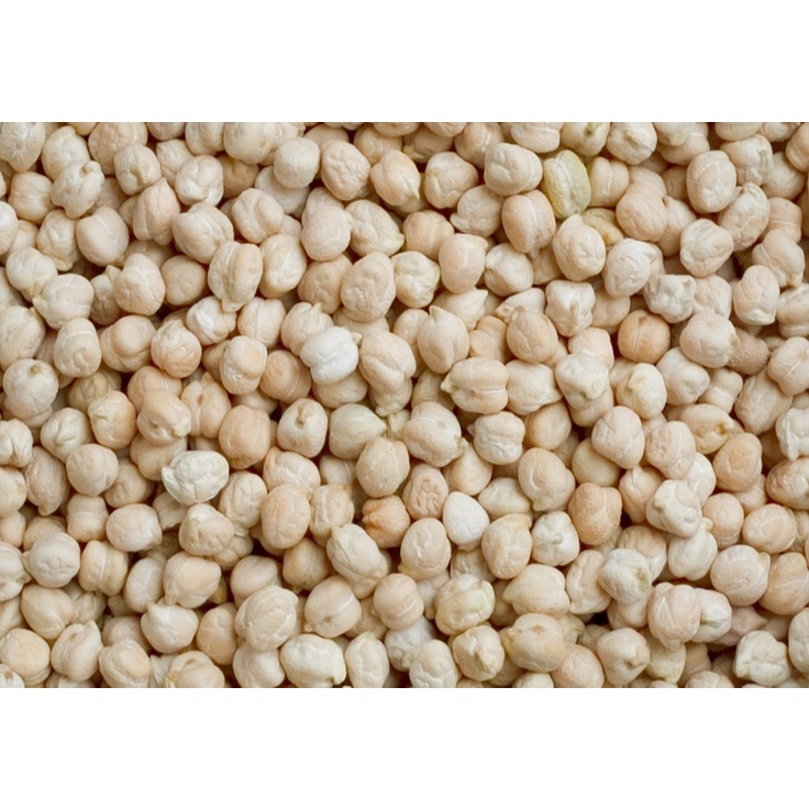 

Kacang Arab 1 kg | Oleh oleh haji/umroh