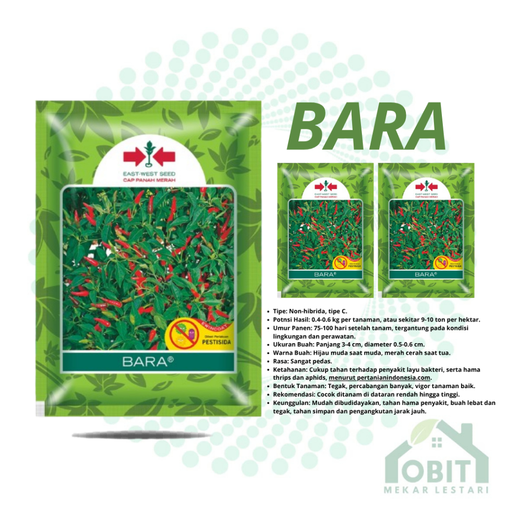 Benih unggul cabai rawit BARA isi 3200 butir CABAI BARA ORI KEMASAN PABRIK