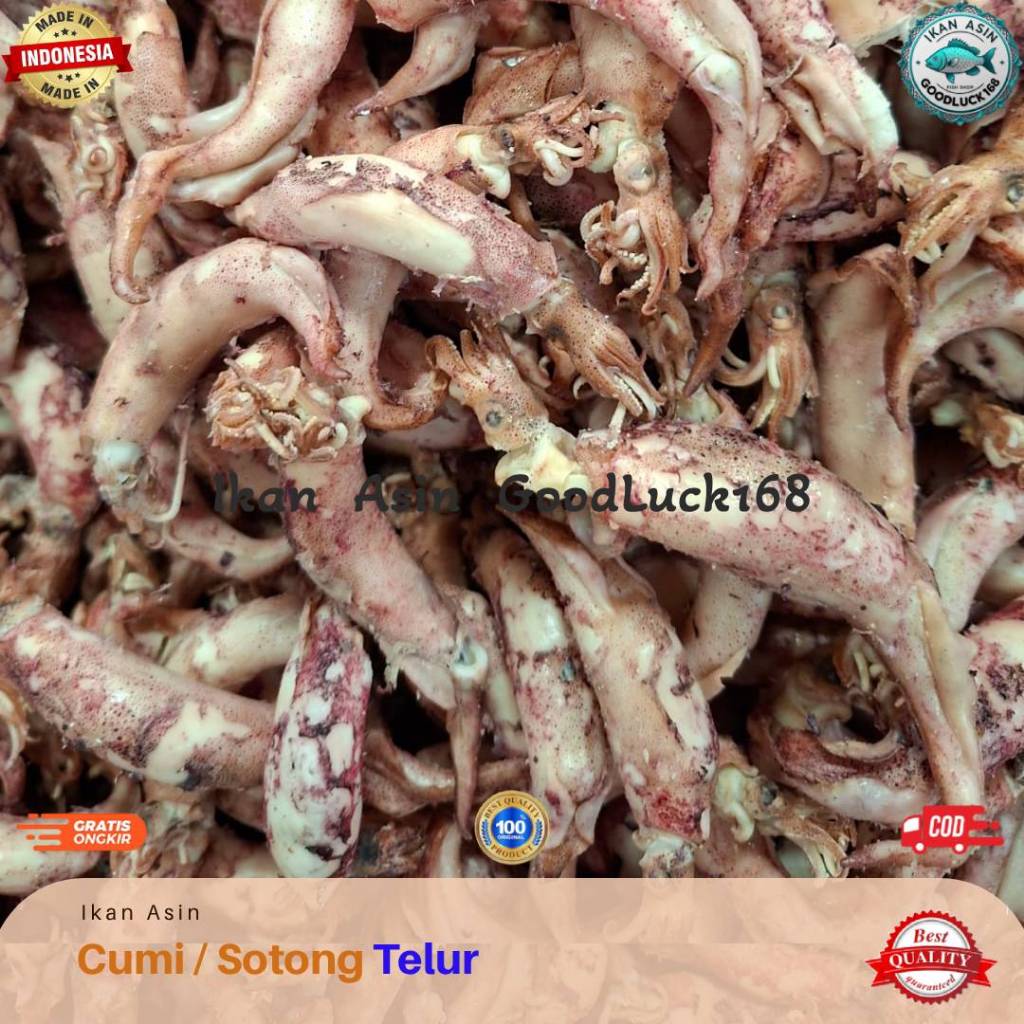 

Cumi Jarum Telur Kering / Sotong Telor / Cumi Bertelur 250gram, 500gram, 1kg