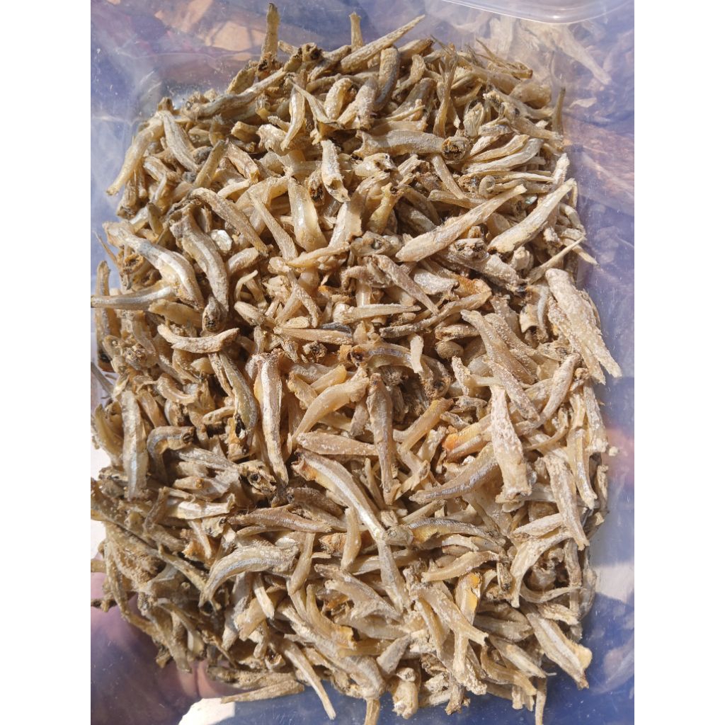 

Ikan Asin Teri Jengki Bulat Fresh