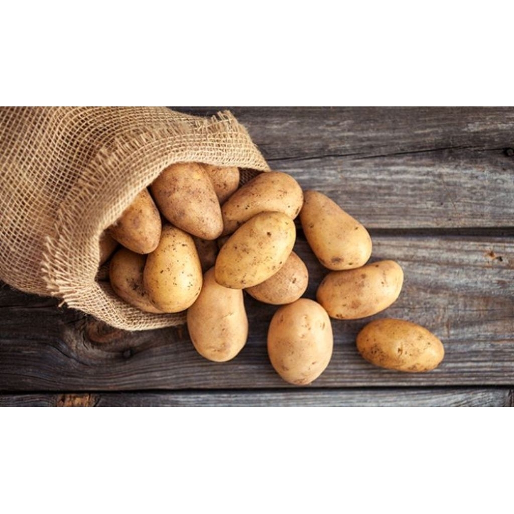 

kentang Punel 500 gram