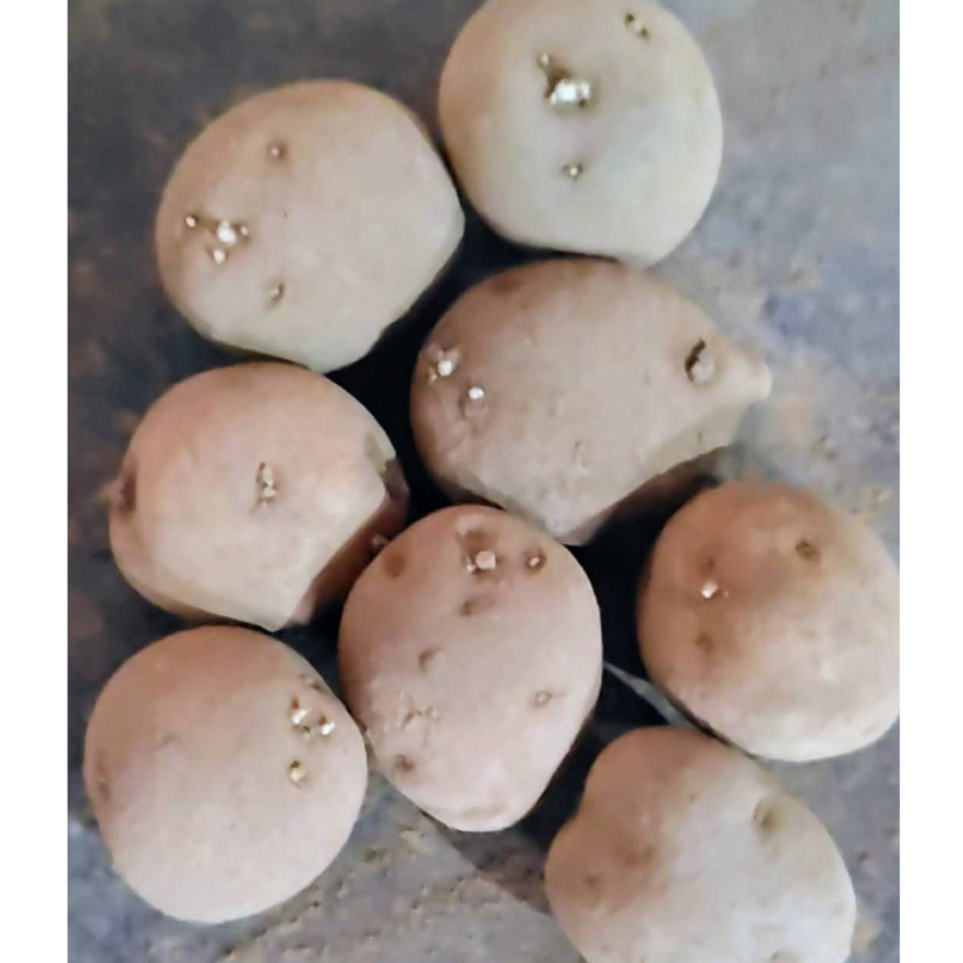 

kentang segar(500gr dan 1000gr)berukuran sedang,besar dan berkualitas premium