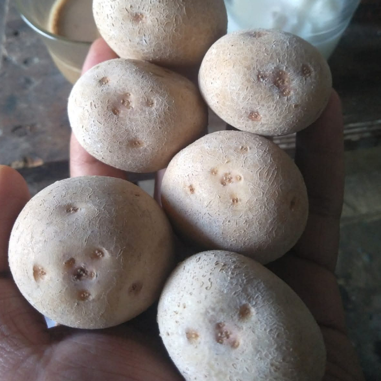 

kentang fress dan segar ( 500 gram dan 1000 gram) berkualitas premium