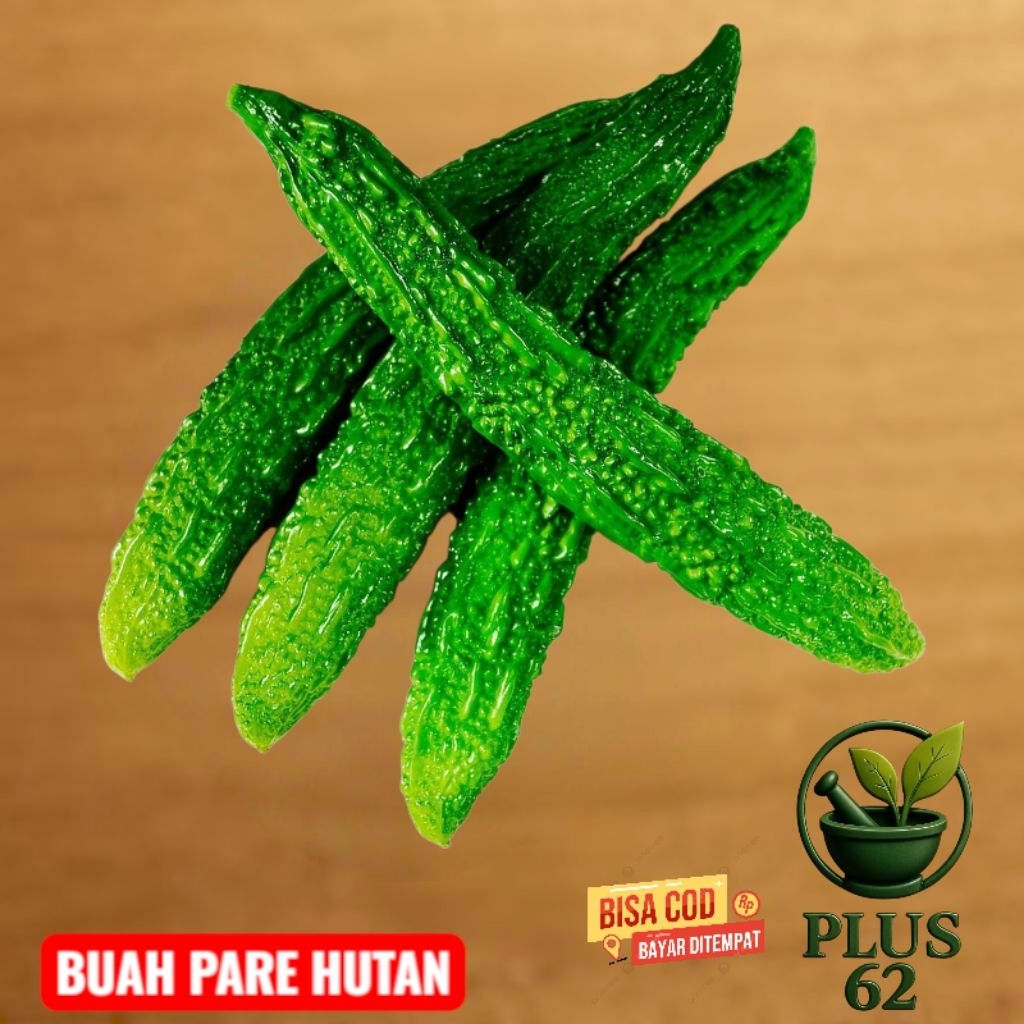 

Buah Pare Alas Pare Hutan Petik Order-Sayur Segar Paket Hemat