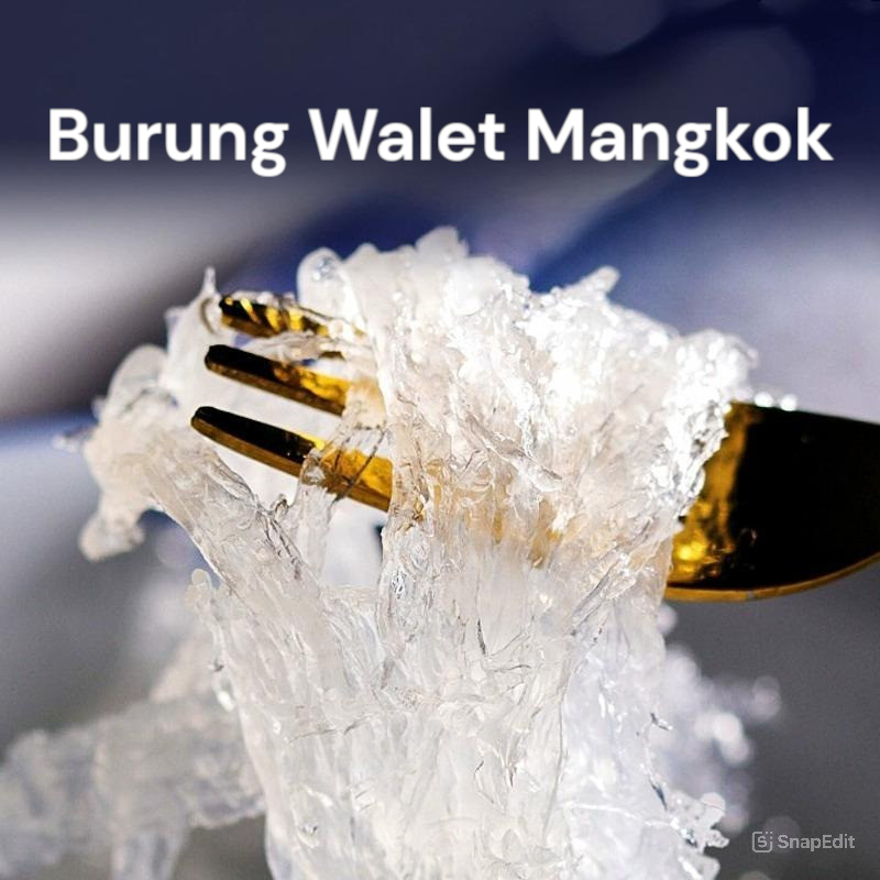 

Sarang Burung Walet Mangkok / ( Yen wo ) Mangkok Bersih , 25 - 100 Gram ( NATURAL TANPA KIMIA ) Mangkok
