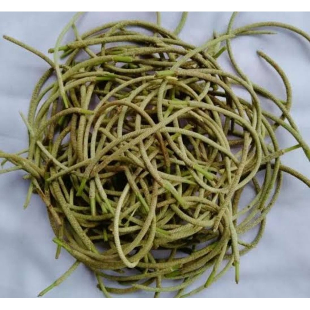 

Buah sirih hutan segar 200 gram fresh-az