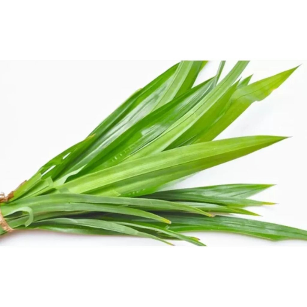 

Daun Pandan Wangi Segar 40 Daun