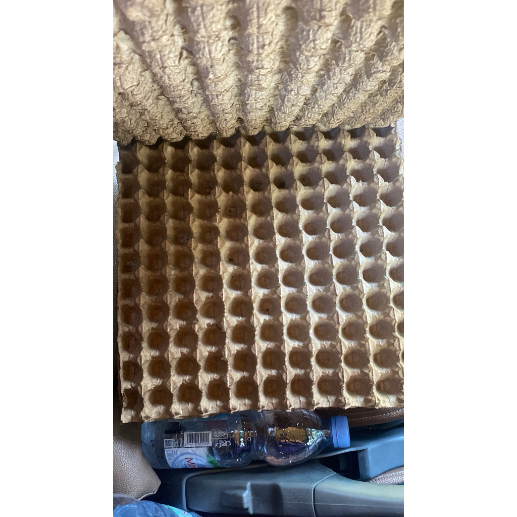 tray puyuh/kotak telur puyuh/