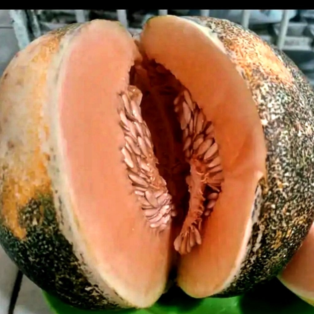 

Buah Garbis Segar Membantu tubuh tetap terhidrasi dan bertenaga