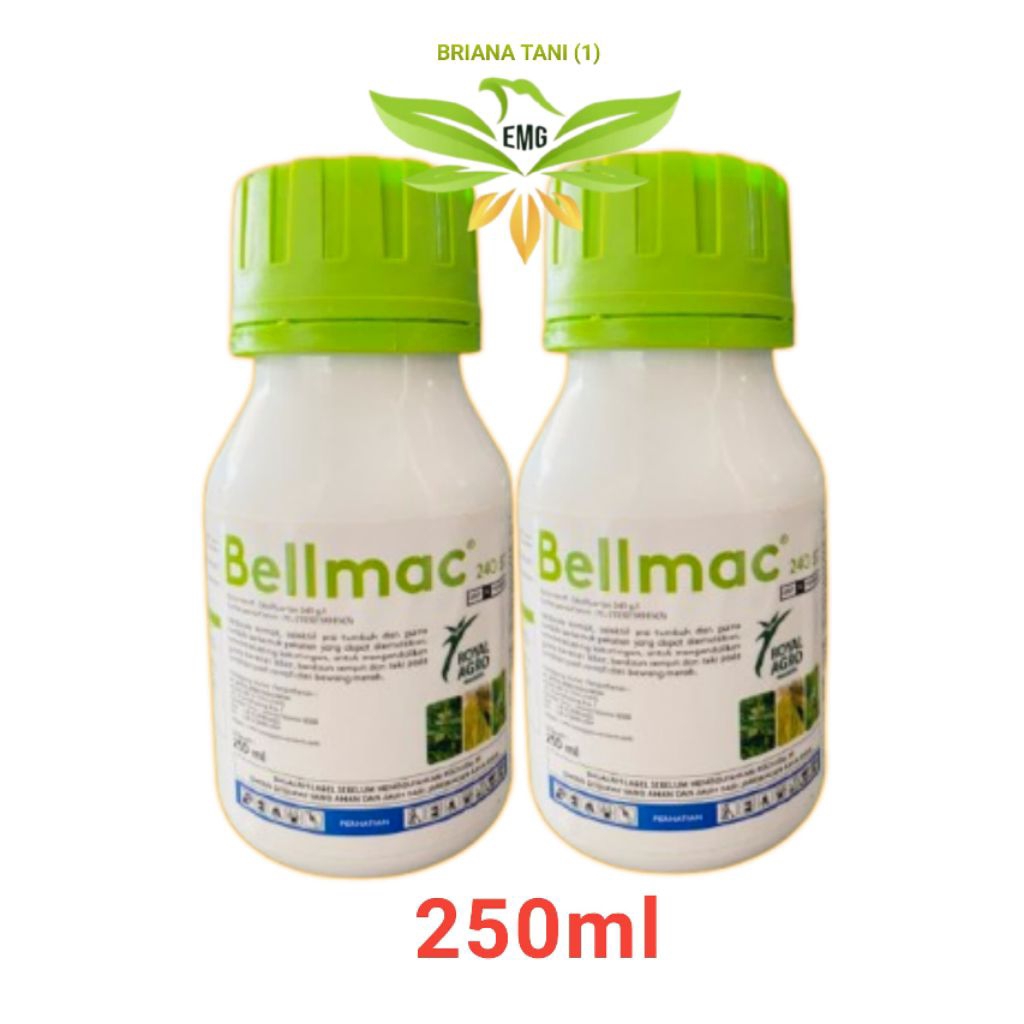 Bellmac 240EC Herbisbisida selektif Oksifluorfen 240 g/l