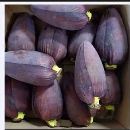 

Jantung Pisang Besar 1pcs