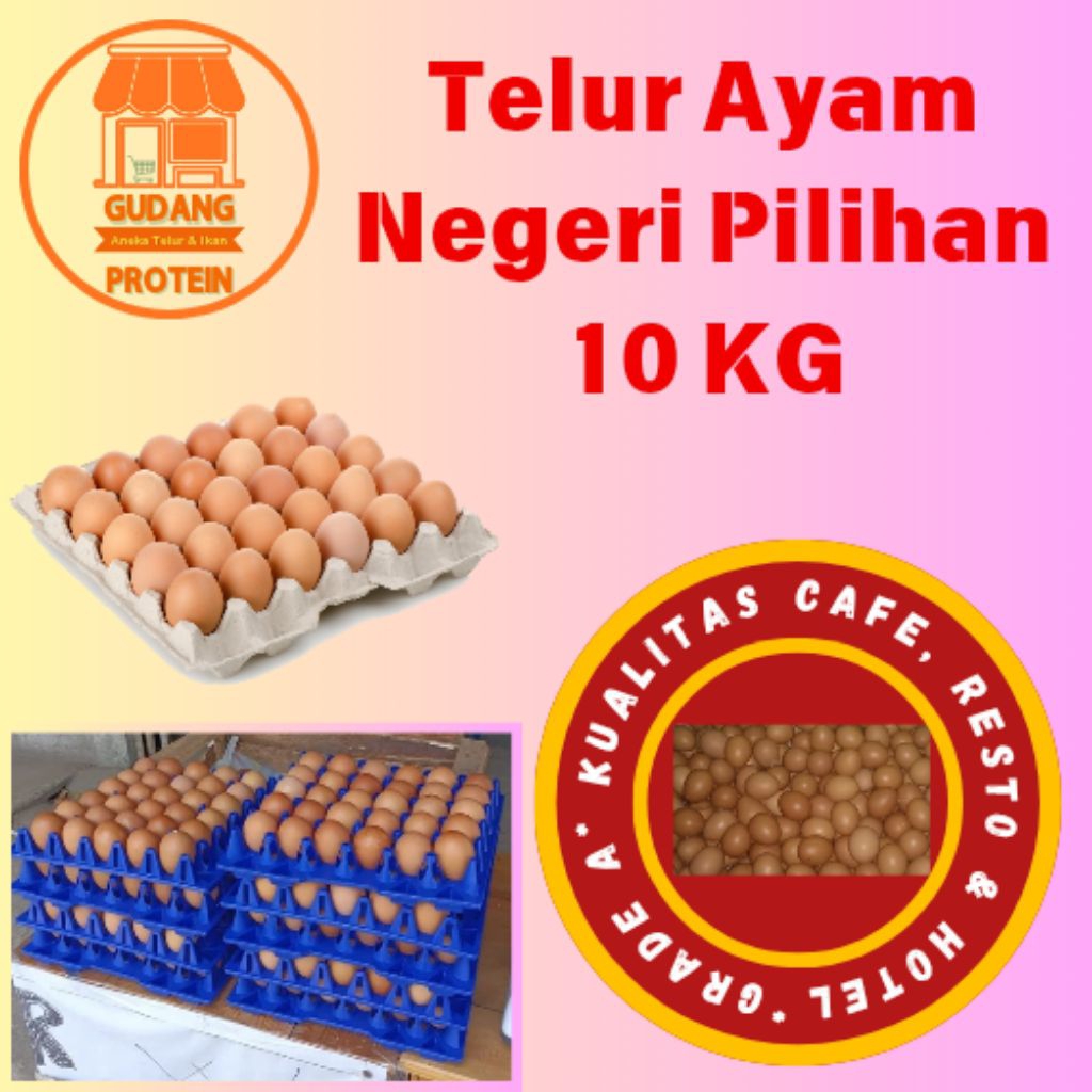 

TELUR AYAM NEGRI GRADE A MURAH 10 KG / Telur Ayam Negri