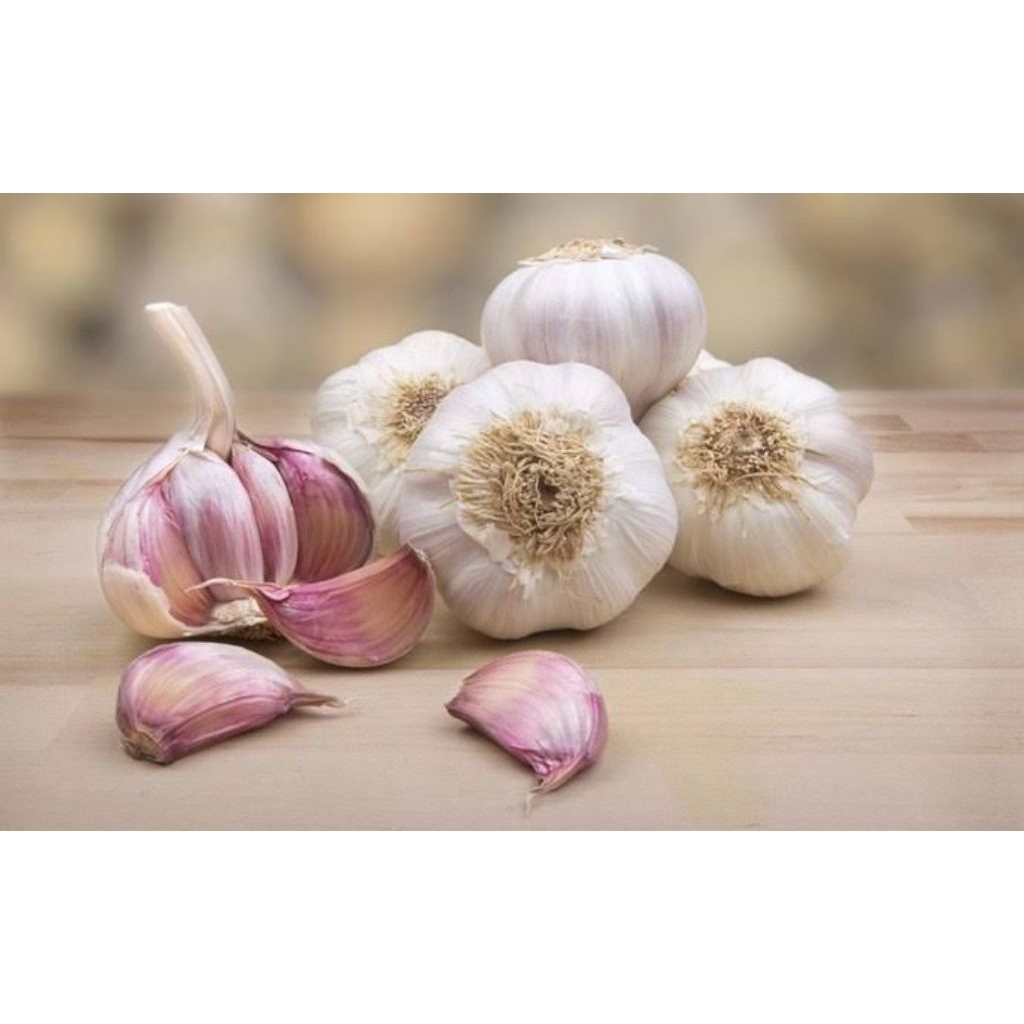 

PROMO BAWANG PUTIH " BALI " PREMIUM 1 KG