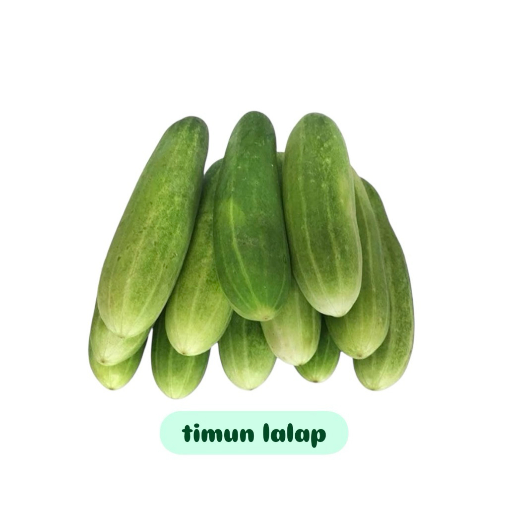 

Timun lalap fresh hijau 250gr/500gr/1kg