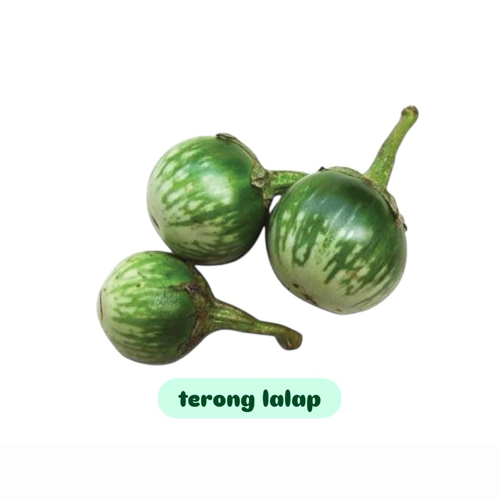 

Terong lalap per pack fresh 330gram