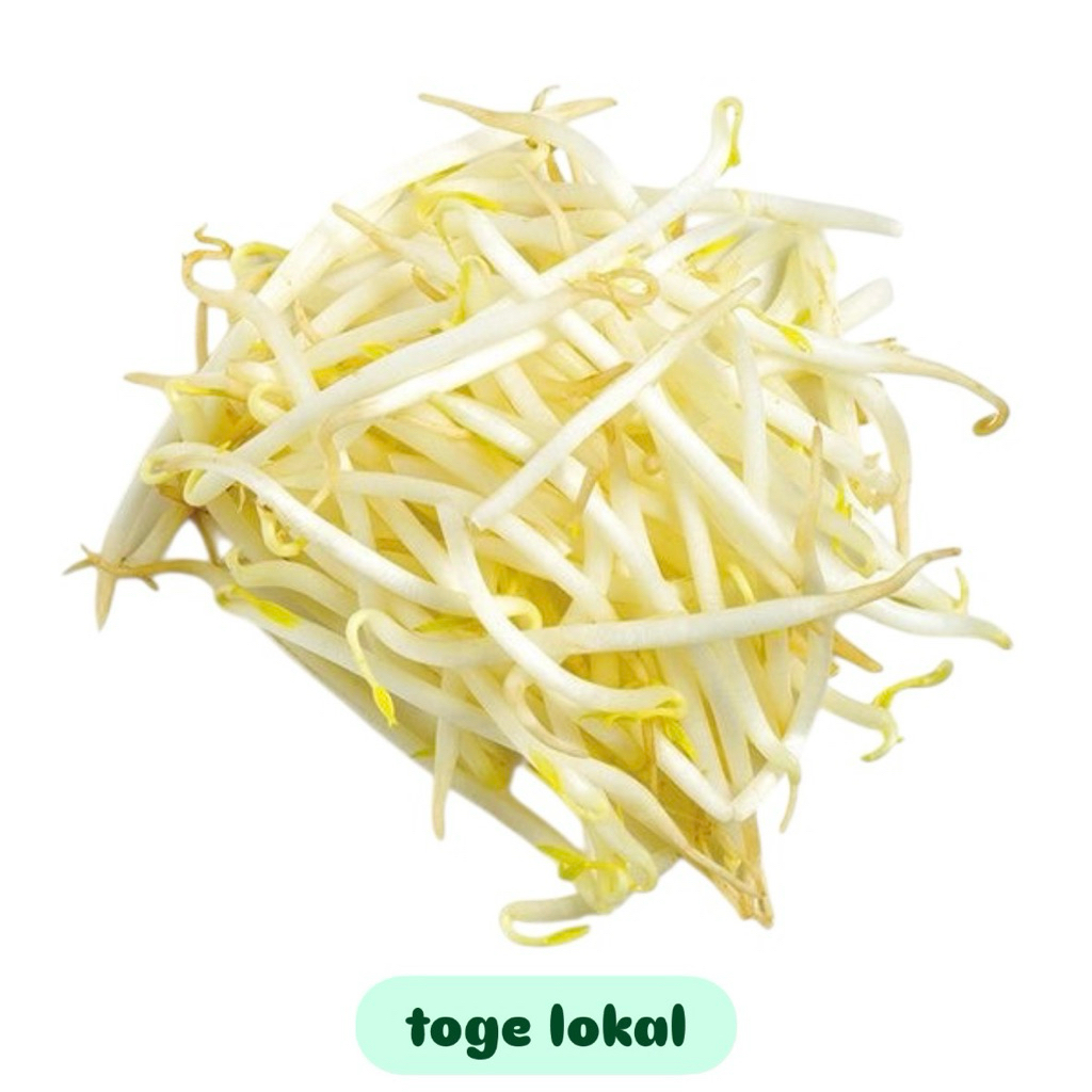 

Toge lokal per pack 250gram