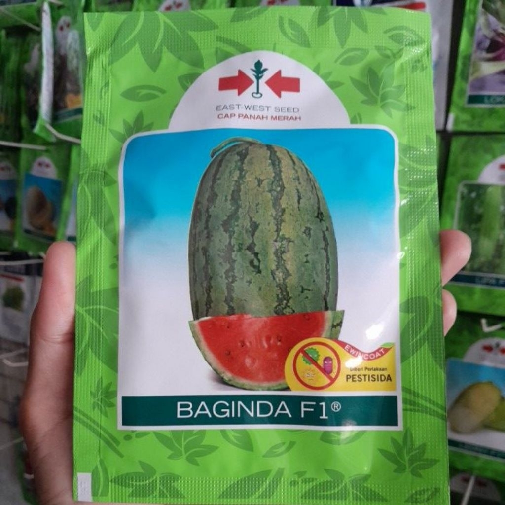 Benih Semangka Baginda F1 Isi 380 biji Original Exp Januari 2027