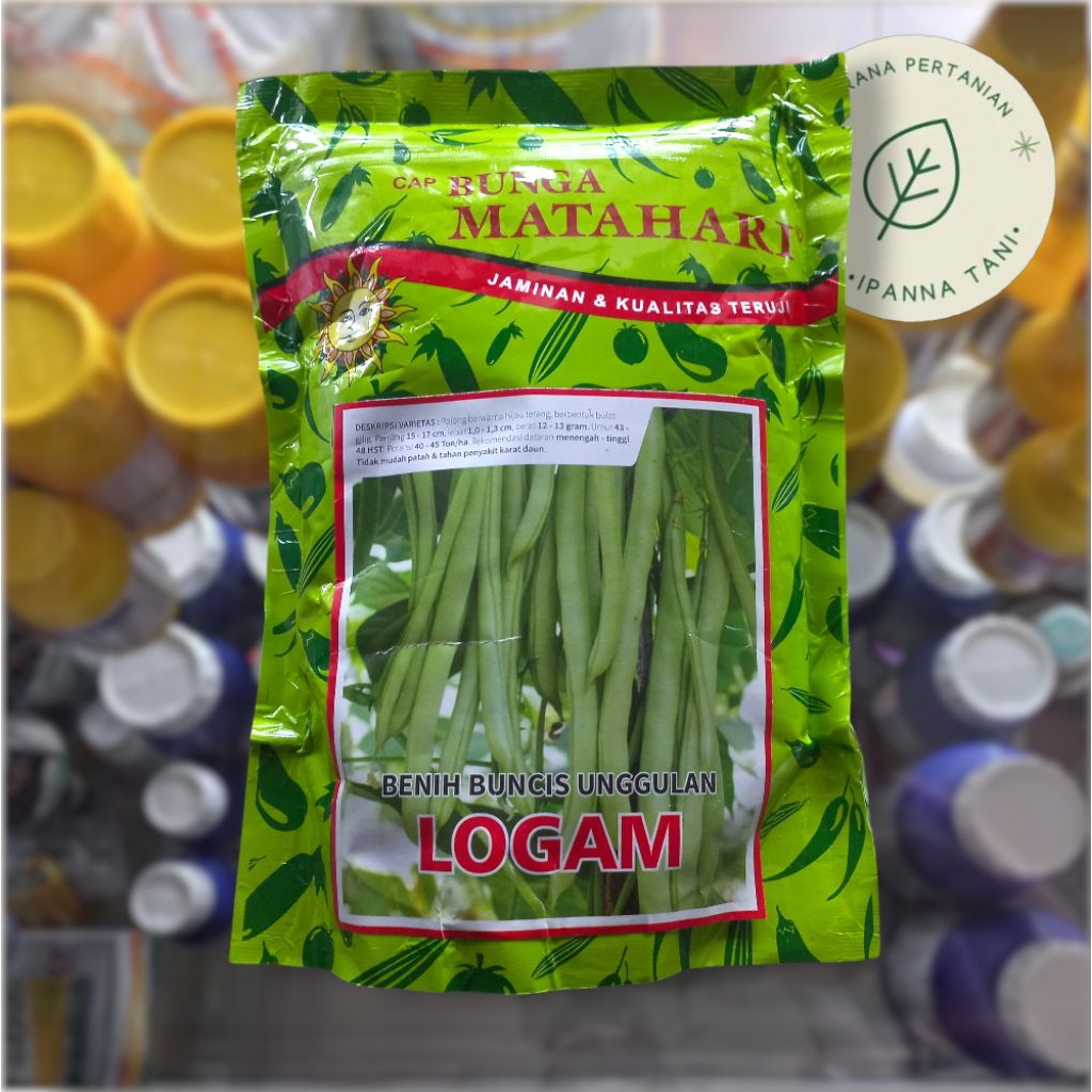 BENIH BUNCIS UNGGULAN – LOGAM – BIBIT KACANG BUNCIS | BENIH SAYURAN BUNCIS | BIBIT BUNCIS CAP BUNGA 