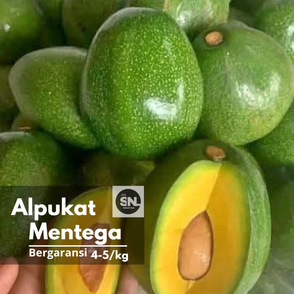 

Alpukat Mentega Bogor 4-5/kg