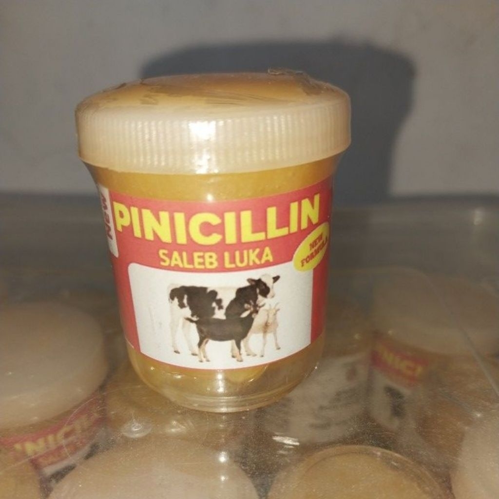 pinicilin salep obat kulit hewan ternak