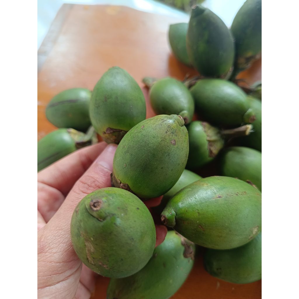 

pinang muda segar 1 kg/obat kuat/penambah stamina