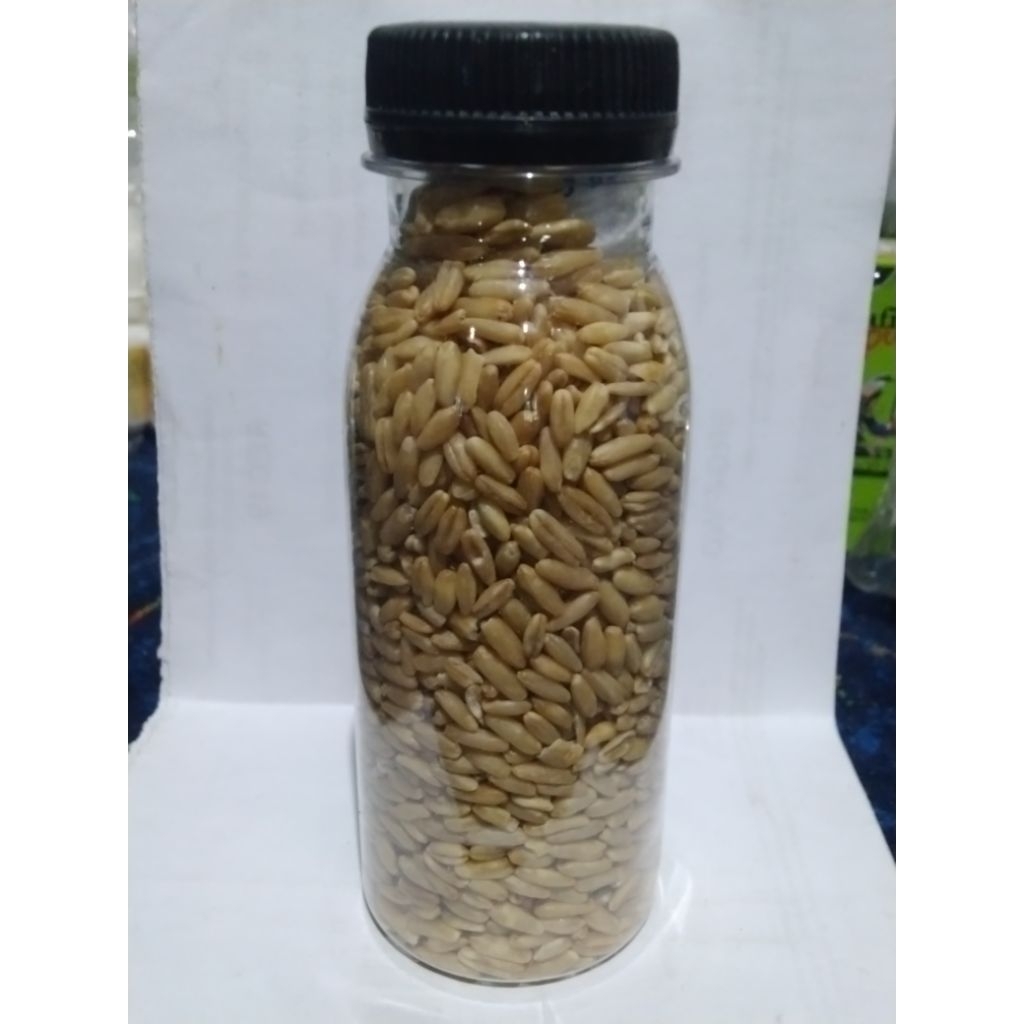 

HAVEER KUPAS OVEN 120g