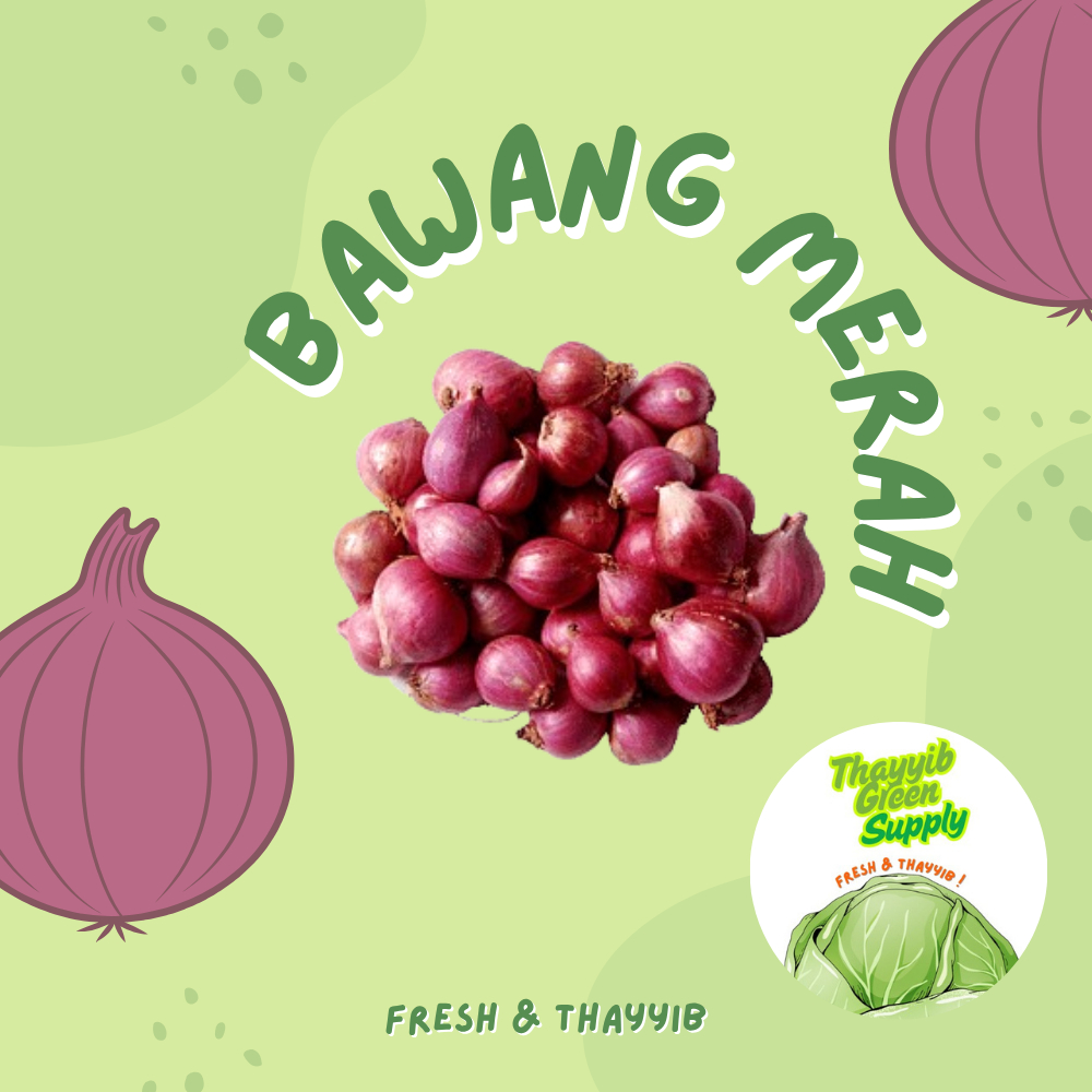 

BAWANG MERAH BERKUALITAS - THAYYIB GREEN SUPPLY