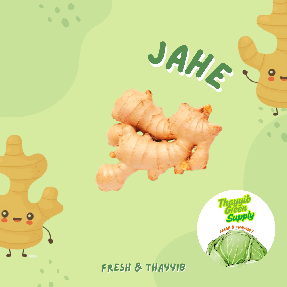 

JAHE GAJAH SEGAR / JAHE GAJAH FRESH 1 KG
