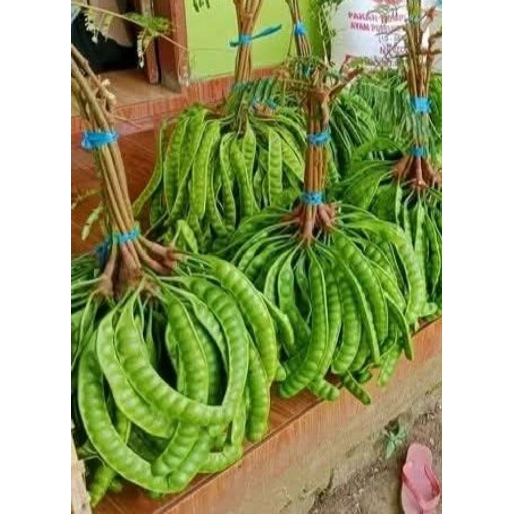 

pete peres per 55 biji super gde