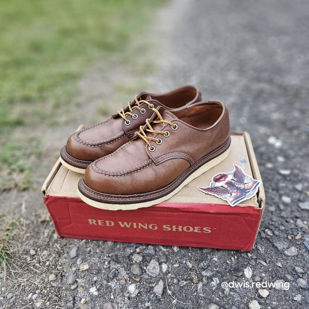 Red Wing 8109 Moctoe OxfordSize 8½D / 41,5