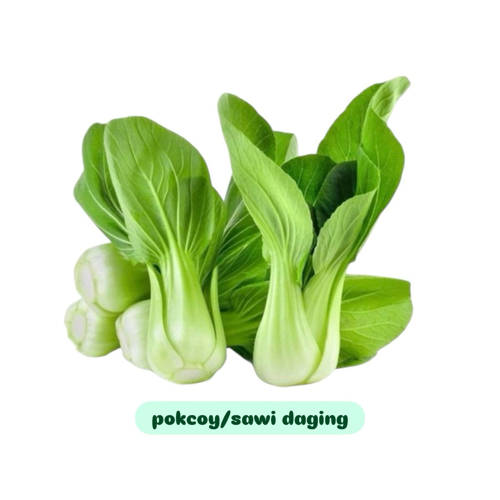 

Pokcoy / Pakcoi / Sawi daging fresh 500g-1kg
