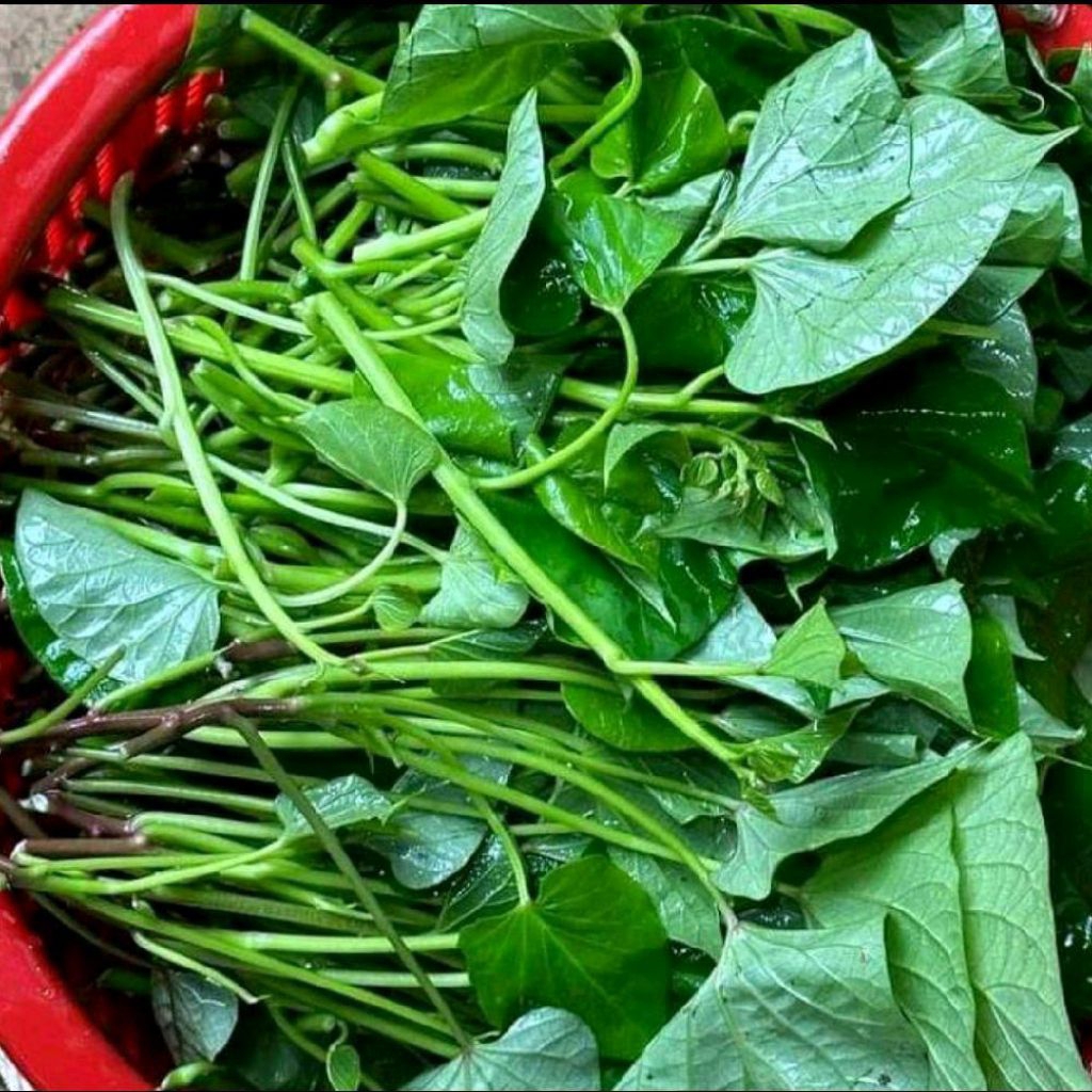 

Daun ubi segar langsung petik 500 gram