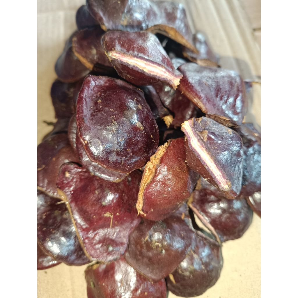 

jengkol muda segar/jengkol buat lalap/masih ada cangkang 1 kg