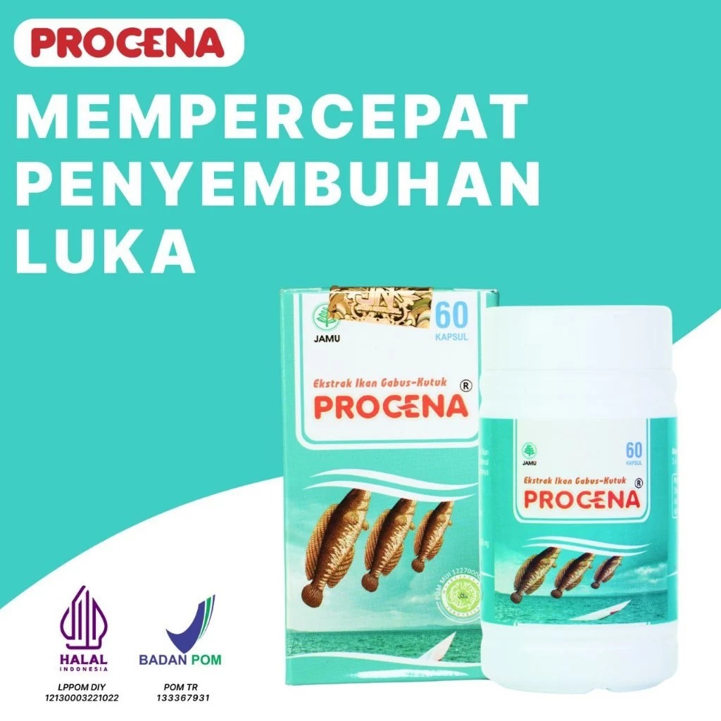Kapsul Procena Ekstrak Ikan Gabus Kutuk - Kapsul Ikan Gabus - Kapsul Ikan Kutuk Pasca Operasi