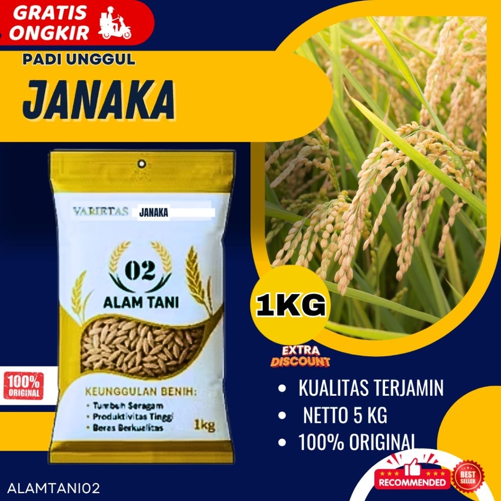 BIBIT PADI BENIH PADI UNGGUL  JANAKA 1KG PADI GENJAH HASIL MELIMPAH