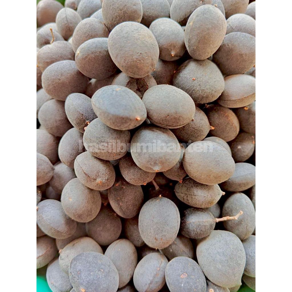 

ASAM MANIS KERANJI 1 KG FRESH