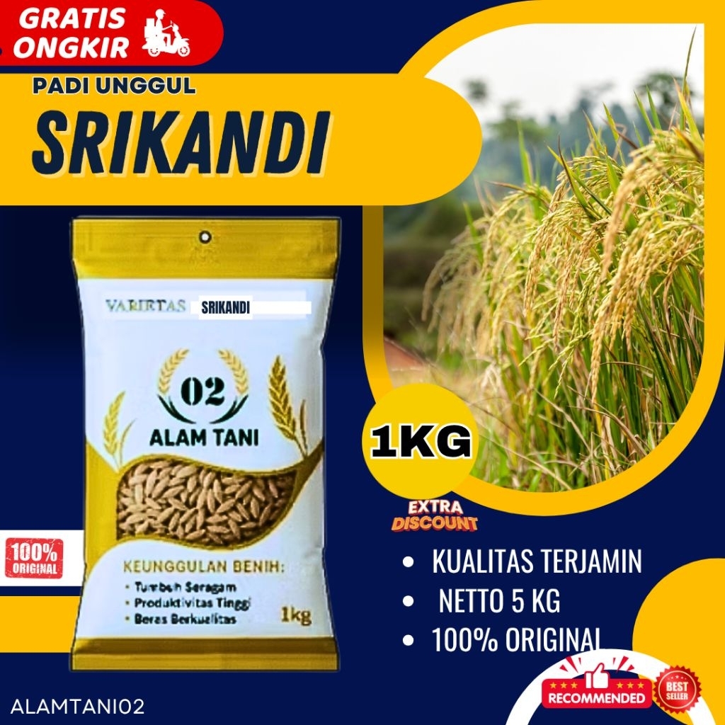 BIBIT PADI UNGGUL BERKUALITAS BENIH PADI SRIKANDI 1KG
