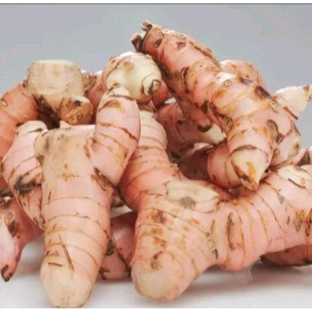 

UMBI LAJA LENGKUAS 1KG SUDAH DI CUCI