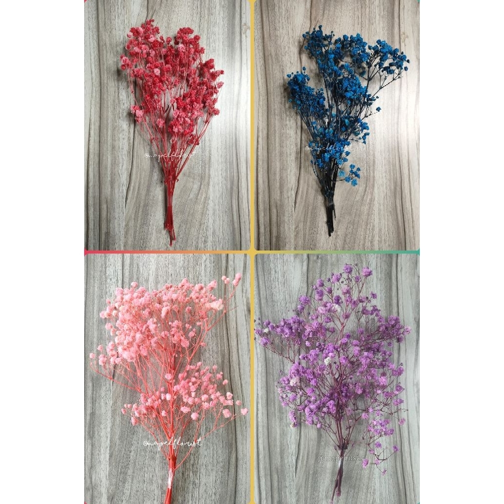 [IMPORT] DRIED BABY BREATH FLOWER | BUNGA KERING BABYBREATH |