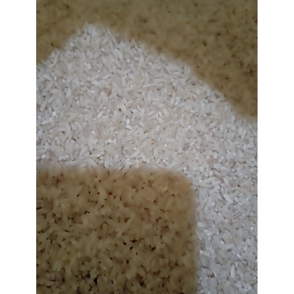 

Beras super, Beras petani, Beras lokal, Beras putih, Beras pulen enak, Beras baru giling, Beras super 1kg