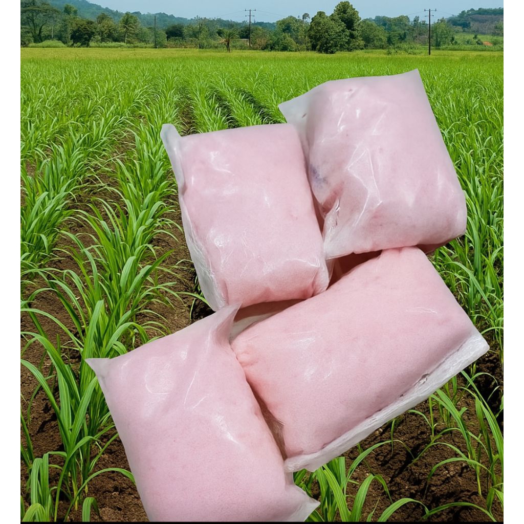 Pupuk Urea 1kg