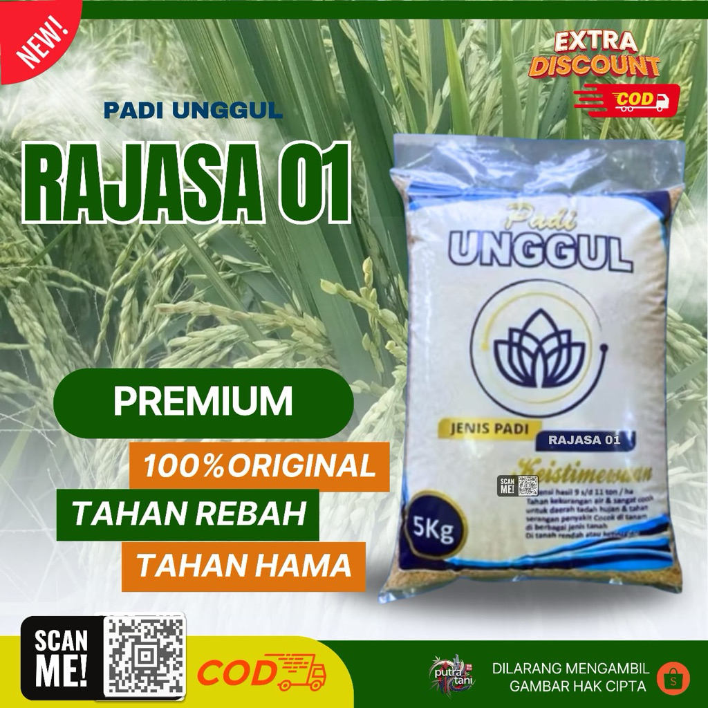 BENIH PADI UNGGUL RAJASA 01 5KG