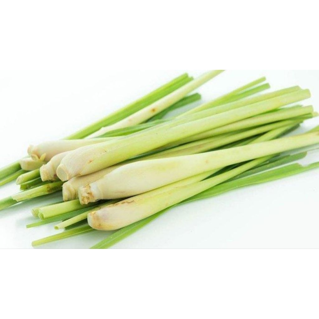 

Serai Segar Grade A Fresh, Harum Langsug Panen Berat 1 Kg