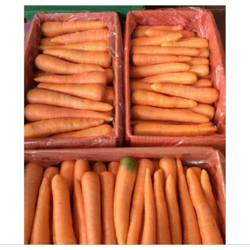 

wortel impor / wortel brastagi 1kg