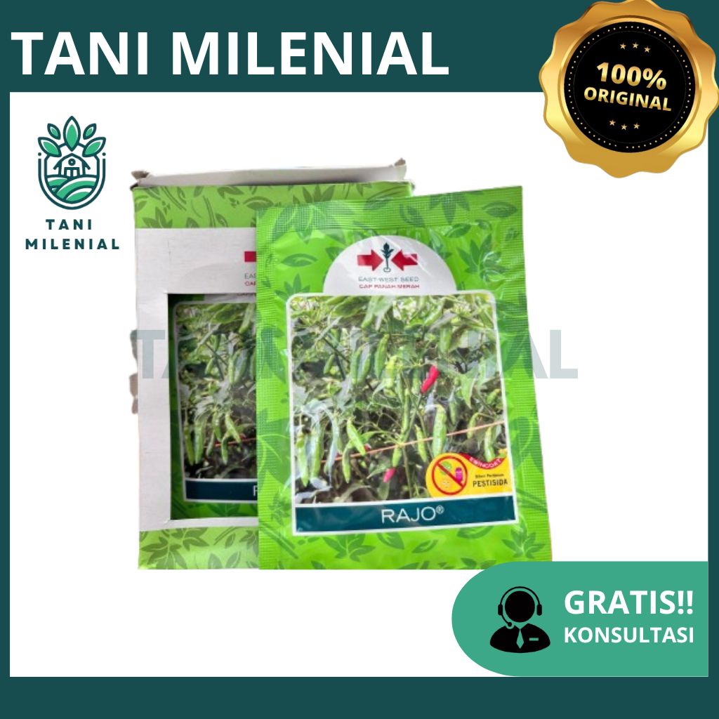 BENIH CABAI RAWIT HIJAU RAJO 2250 BIJI