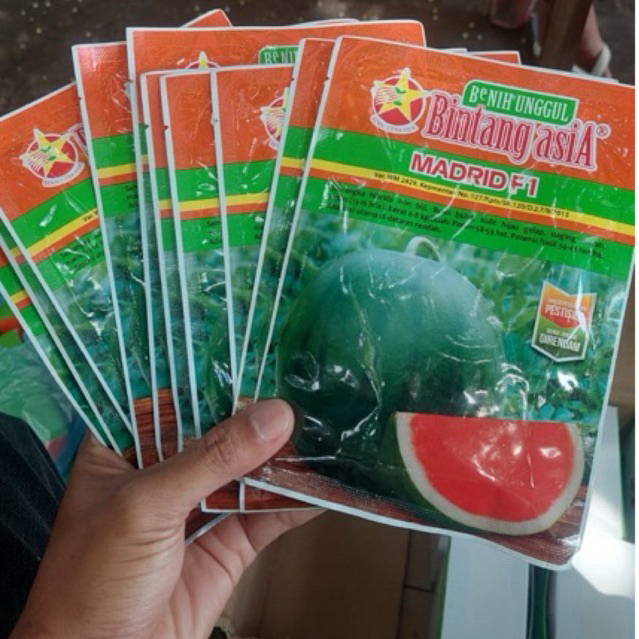 Madrid F1 || Inden F1 || Diva F1